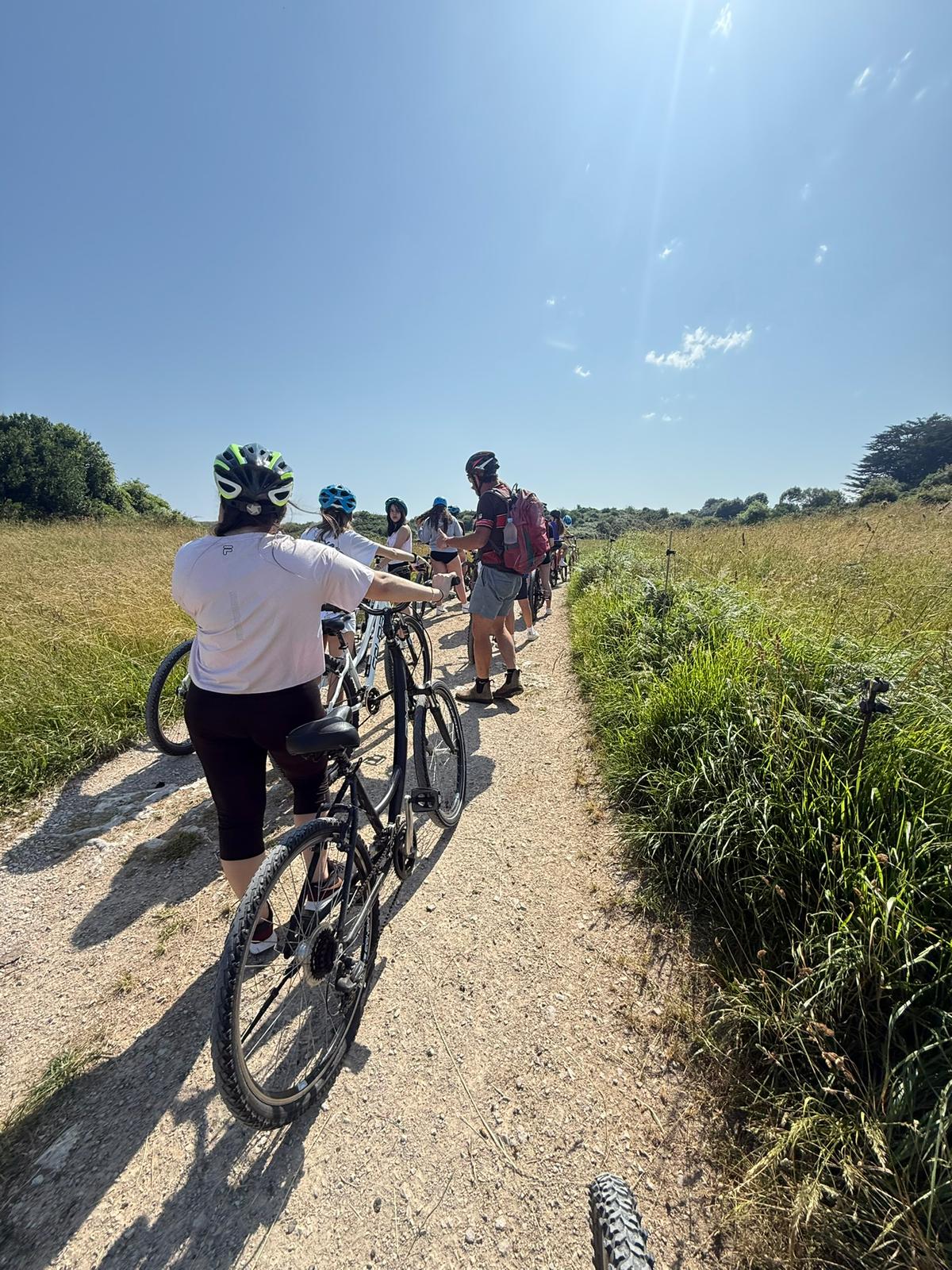 Alquiler de bicis