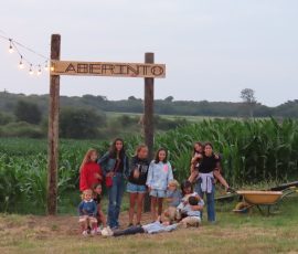 Pela's corn maze Pela's corn maze