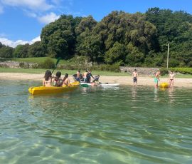 Llanes garden - paddleboards. kayaks Llanes garden - paddleboards. kayaks