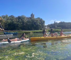 Llanes garden - paddleboards. kayaks Llanes garden - paddleboards. kayaks