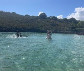 Llanes garden - paddleboards. kayaks Llanes garden - paddleboards. kayaks