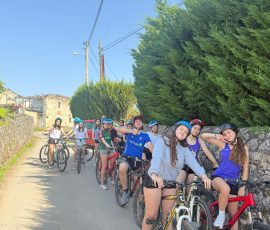 bike bike