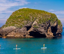 Llanes garden - paddleboards. kayaks Llanes garden - paddleboards. kayaks