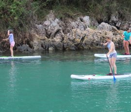 Llanes garden - paddleboards. kayaks Llanes garden - paddleboards. kayaks