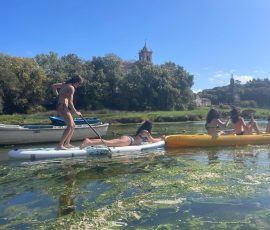 Llanes garden - paddleboards. kayaks Llanes garden - paddleboards. kayaks