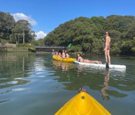 Llanes garden - paddleboards. kayaks Llanes garden - paddleboards. kayaks